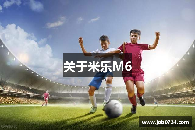 关于米乐M6